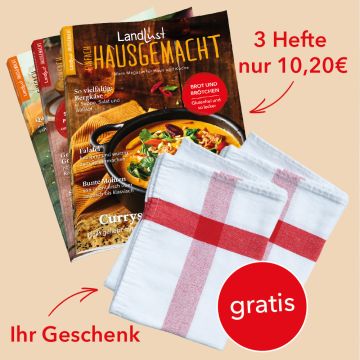 Einfach Hausgemacht Miniabo mit 2 Geschirrtüchern